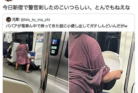 【悲報】新宿で警察官を刺したおばさん、電車内で用を足してた模様
