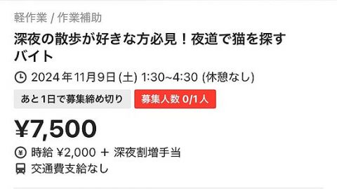 タイミーの「猫を探すバイト」が話題に