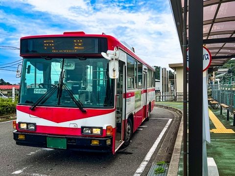 【画像】可愛すぎるバス運転士見習い(19)、見つかるwwww