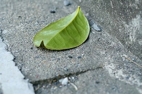 【呆然】ワイ「営業鬱でやめたちゃった…再就職するにも工場ぐらいしか求人あらへん」→転職した結果wwwwwwwwwwwwwwwwwwwwwwwwwww