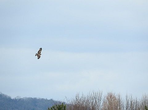 【愕然】廃トンネルに住み始めて2ヶ月経った結果wwwwwwwwwwwwwwwwwwwwwwwwwwwwwwww