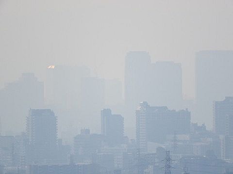 【愕然】なぜか日本で定着しないもの一覧wwwwwwwwwwwwwwwwwwwwwwwwwwww【愕然】なぜか日本で定着しないもの一覧wwwwwwwwwwwwwwwwwwwwwwwwwwww