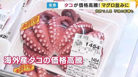 【悲報】タコの値段高騰で、遂にマグロを抜いてしまう