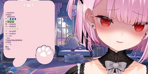 みけねこさん、別のVtuberの配信タグをぶんどる「なにが悪いの?」→元々使用していたVtuber「もうこのタグ使うのやめます」→炎上→みけねこさんがまさかの行動に