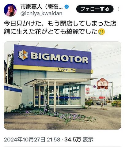 【朗報】ビッグモーター、閉店した店舗に草花が生い茂るwwwww