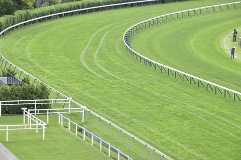 函館競馬場・芝コースに自動車で侵入の角田大河騎手が騎乗停止　理由は花火大会を見るため