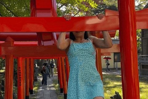 チリの元体操選手、日本の神社の鳥居にぶら下がって炎上=韓国の反応