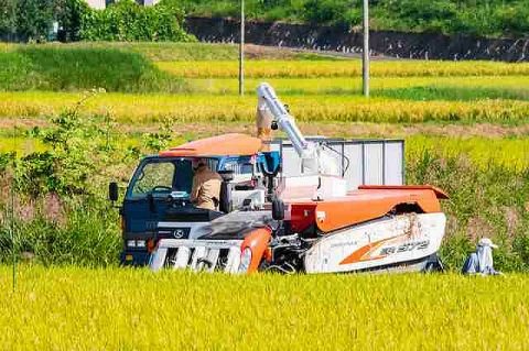 「コメ不足」のさなか、コメ農家の倒産・廃業が急増　過去最多を更新へ　肥料などのコスト増負担が重く、生産者の高齢化・後継者不足も追い打ち