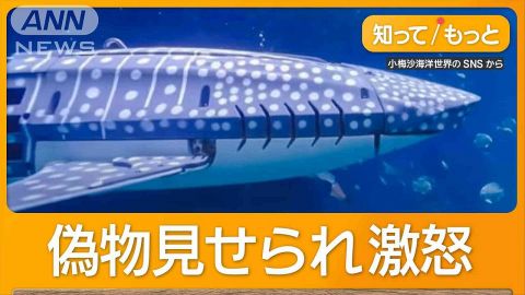 水族館の目玉ジンベエザメ　ロボットだった!客激怒　10万人訪問“返金要求”も　中国