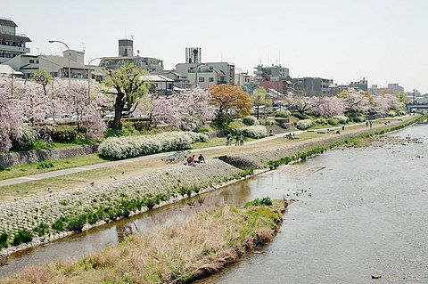 【マヂかよ】人気観光地の京都さん、驚きの現在がこちらwwwwwww