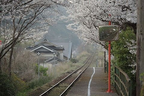 【超驚愕】JR芸備線、ガチで『恐ろしい事実』が判明してしまう・・・・・