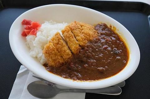 【悲報】イギリス人「お、カツカレー(日本風カレー)やん」ジ〇ップ「!!!!」(シュバババwwwwwwwww