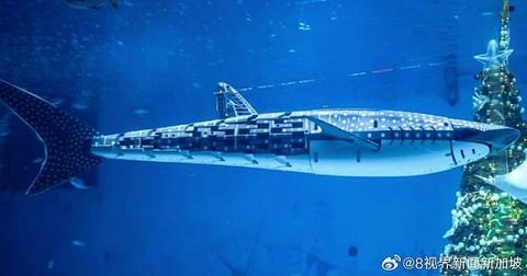 【悲報】中国の水族館、主役のジンベエザメがロボットだとバレ炎上wwwwwwwwwww