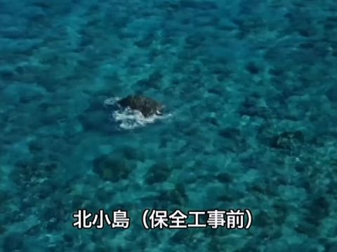 【画像】海外「沖ノ鳥島って岩やん」日本「沖ノ鳥島は島!」←これwwwwwwww