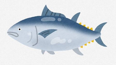 日本「クロマグロの漁獲枠増やして!」 国際会議「いいよ!」 大型魚の漁獲枠1.5倍に