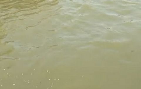 【悲報】パリオリンピックのトライアスロン、セーヌ川が汚すぎて水泳無しで開催する可能性がwwwww