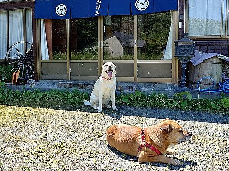 温泉宿「タメ口で話しかけてくる客は宿泊拒否するわ」⇒なぜか休館してしまう