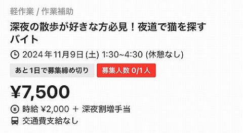 タイミー「深夜の散歩が好きな方必見!猫を探して時給2500円!あっ、携帯と荷物は預かるね!」