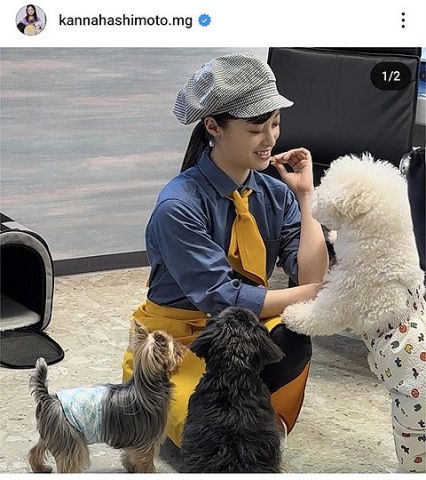 【画像】橋本環奈、犬にも大人気だった